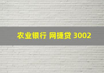 农业银行 网捷贷 3002